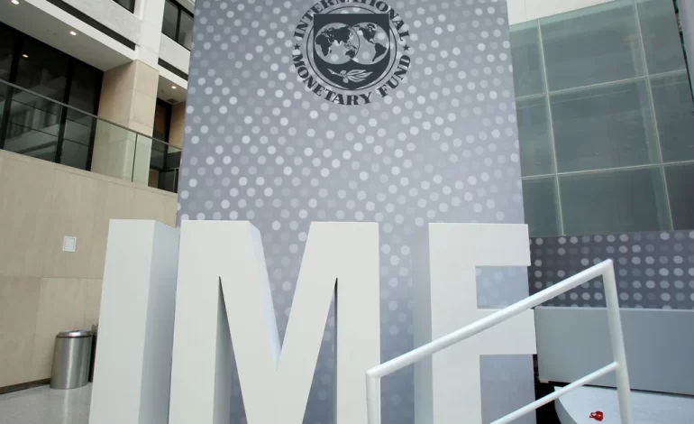 Some IMF staff work ‘unduly influenced’ despite strong safeguards-report