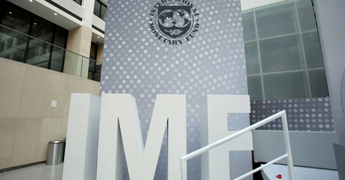 Some IMF staff work ‘unduly influenced’ despite strong safeguards-report