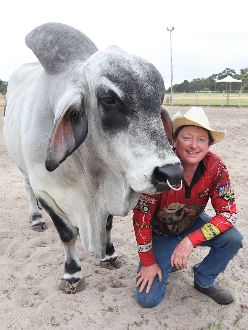 Not a single rider or animal was injured at this rodeo organiser’s last event