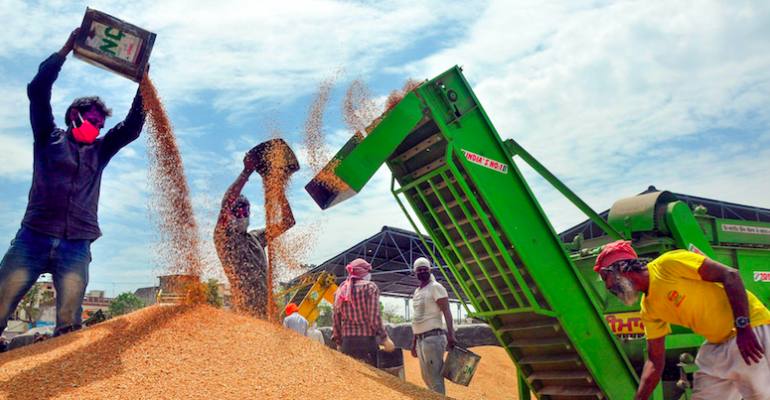 To Provide Food Security, South Asian Nations Must Engage in Liberal Trade