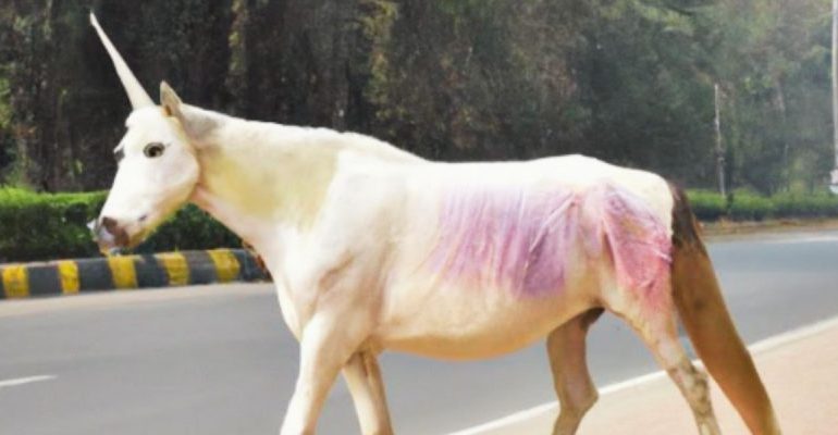 Art in the Age of Generative AI