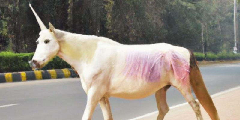 Art in the Age of Generative AI