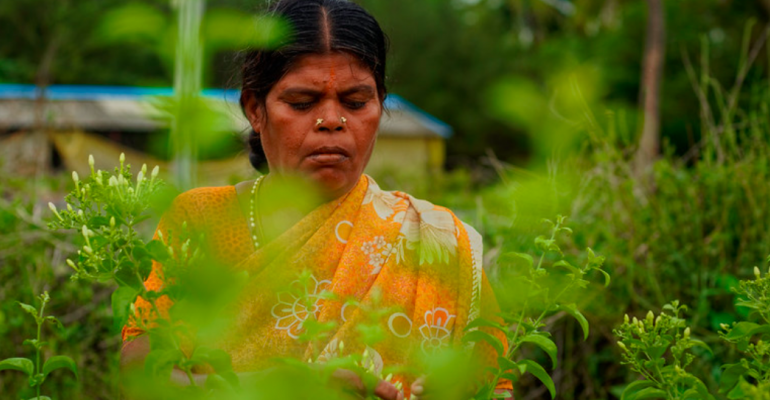 After Budget 2023, Agriculture Sector Still Waiting for the Reforms it Needs