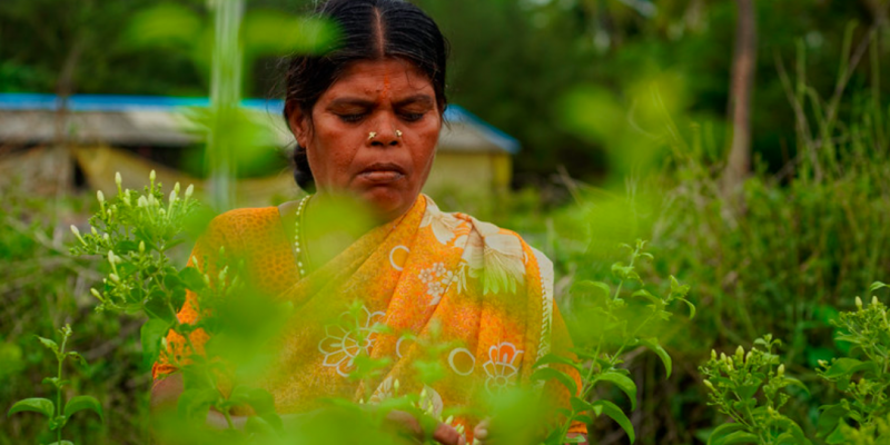 After Budget 2023, Agriculture Sector Still Waiting for the Reforms it Needs