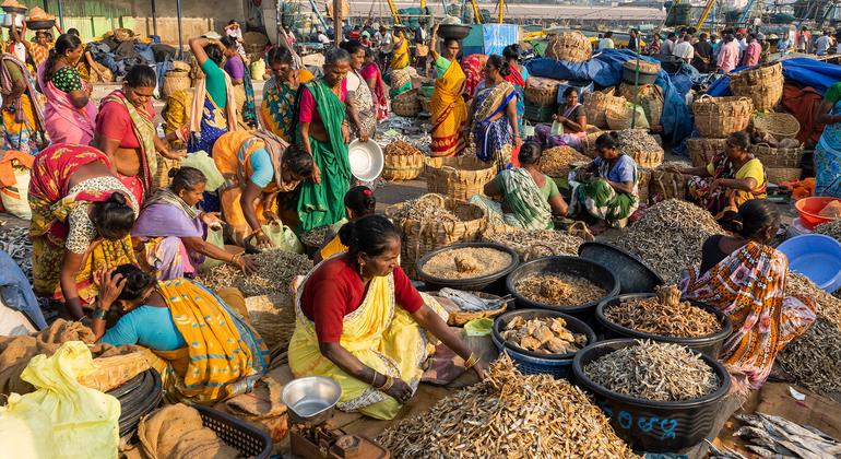 UN Chief Calls for Overhaul of Broken Global Food Systems