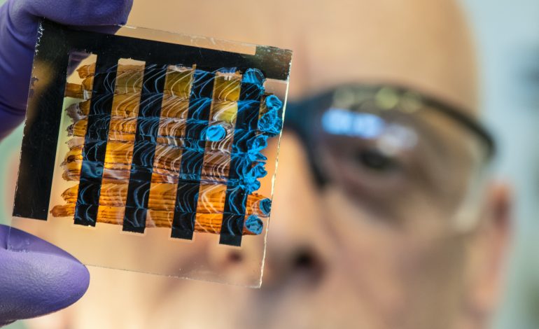 Chloroplasts: Vital for Photosynthesis and Plant Immunity | Mirage News