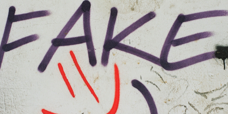 To Deepfake Is Human, to Detect Is Divine