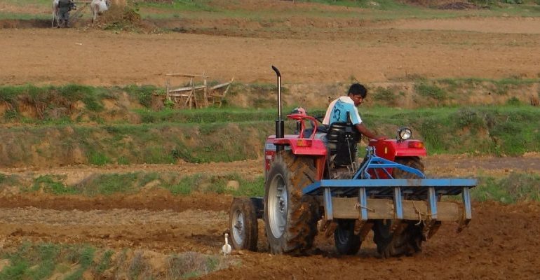 Has the Time Come To Renegotiate the WTO’s Mandate on Agriculture Sector?