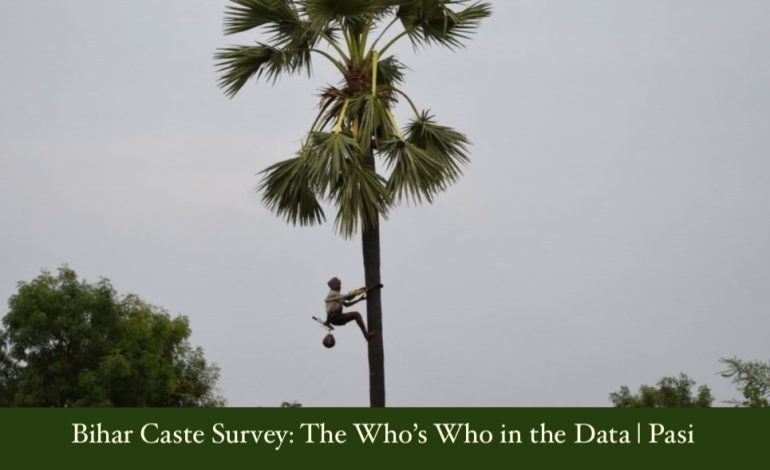 Bihar Caste Survey: The Who’s Who in the Data | Pasi