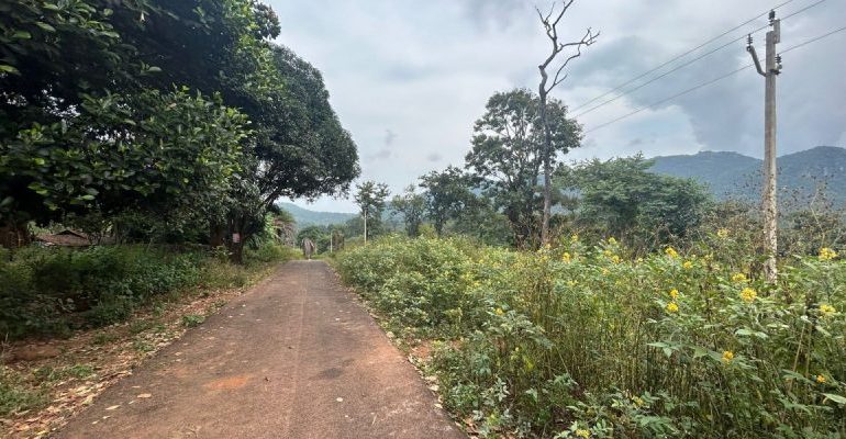 Chhattisgarh: In Chandameta, With Electricity, Roads and Water – a Polling Booth for the First Time