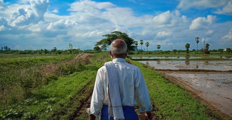Average 30 Farmer Suicides Per Day in Modi Govt Years Points to a Systemic Apathy