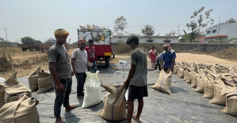 Grains of Life: How Chotanagpur’s Adivasis Are Reviving Native Varieties of Rice