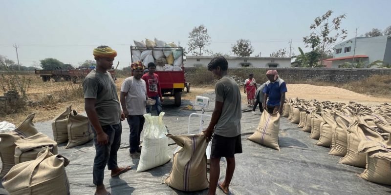 Grains of Life: How Chotanagpur’s Adivasis Are Reviving Native Varieties of Rice